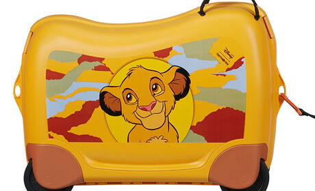 Multifunctional leash