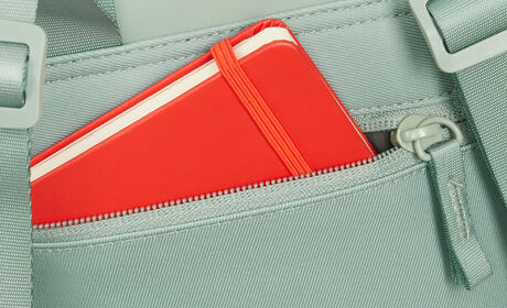 Secret back compartment