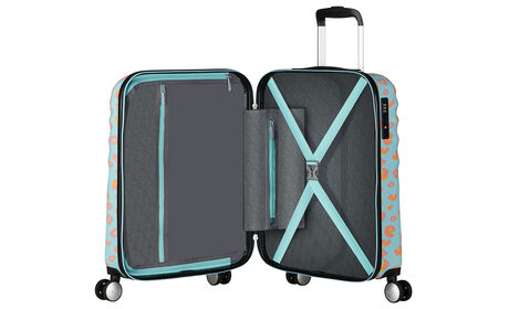 Organisation intérieure