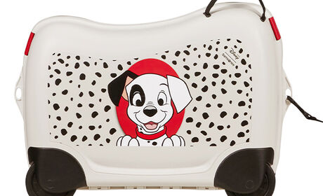 Multifunctionele riem