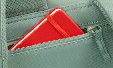 Secret back compartment