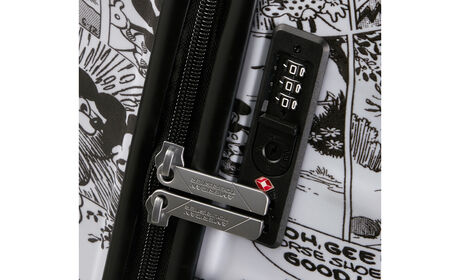 Secure travel