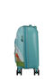 Wondertrips Bagage cabine