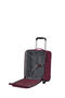 Cloudrider Koffer (2 wielen) S/M