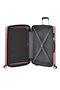 Flashline Large Check-in