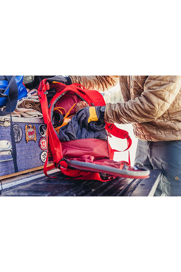 Gregory  TARGHEE 26  Gamma Red