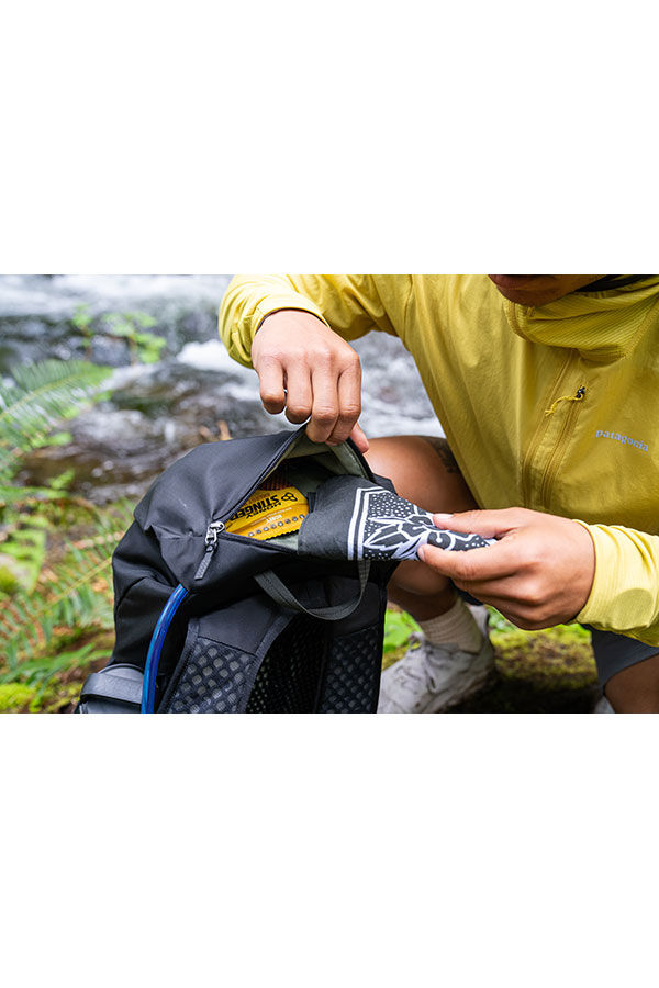 Gregory  Arrio 22 RC  Shadow Pine Black