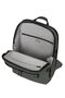 Samsonite Glam-Go Laptop Backpack 15.6'  Climbing Ivy