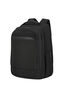 Samsonite Paralux 2-1 Travel Backpack  Zwart
